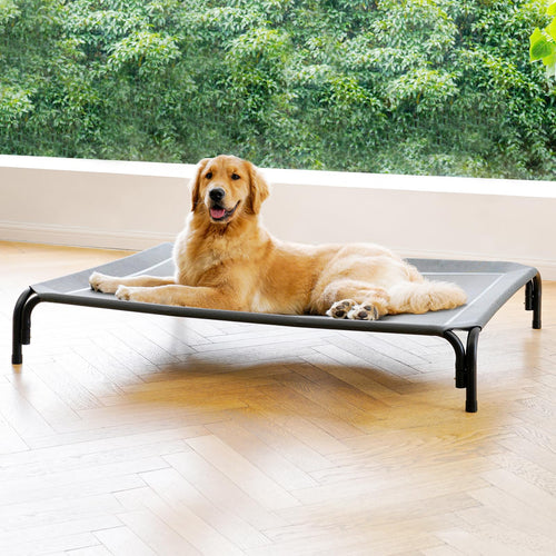 Elevated Pet Bed